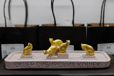 Couple Creates Pocket-Sized Tyumen Souvenirs