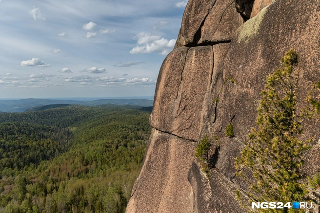 Как прошла неделя в Красноярске в фото | Источник: Мария Ленц / NGS24.RU