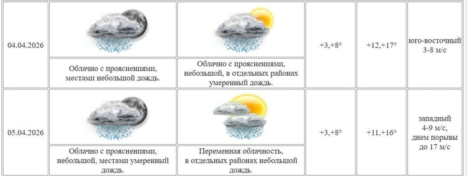 Источник: скрин с сайта Курганского ЦГМС