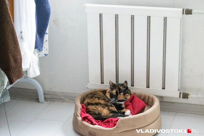 У многих отопления до сих пор нет | Источник: Елена Буйвол / VLADIVOSTOK1.RU