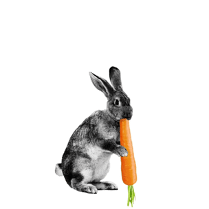 Тест: Какая ты морковка?