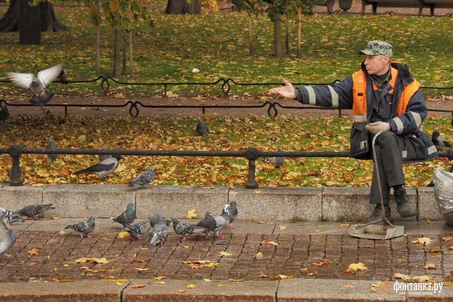 «Уж извините». Главный синоптик Петербурга рассказал, как долго будет тепло | Источник: Михаил Огнев / «Фонтанка.ру»