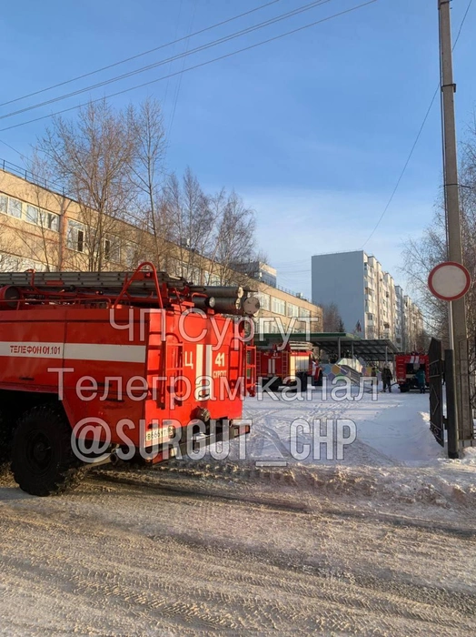 Источник: «ЧП Сургут» / T.me