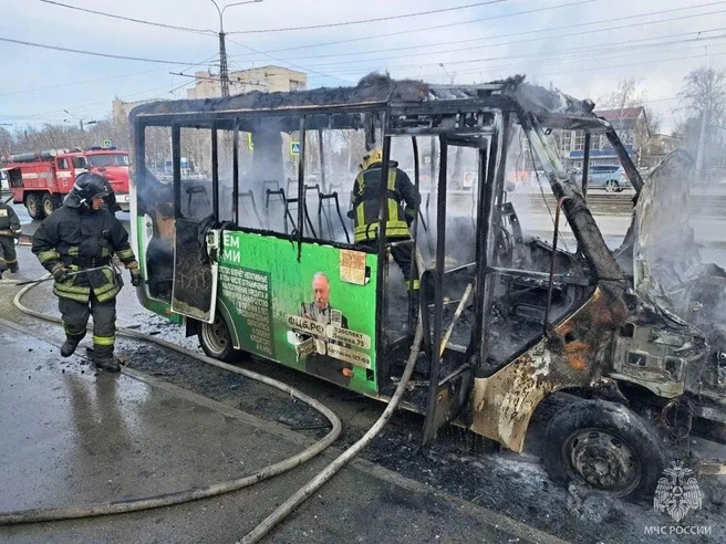 Огонь полностью уничтожил автомобиль | Источник: пресс-служба МЧС по Алтайскому краю