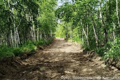 В лесах Камчатки проложили противопожарные дороги