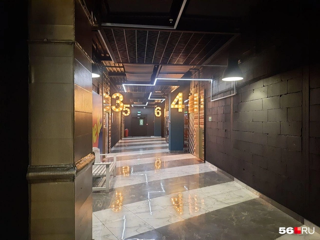 Что интересного идет в кино на выходных | Источник: Анастасия Баринова / 56.RU