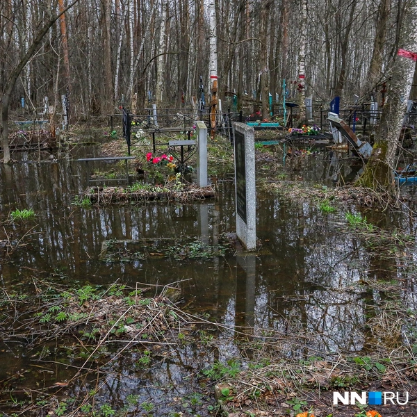 Источник: Наталья Бурухина / NN.RU