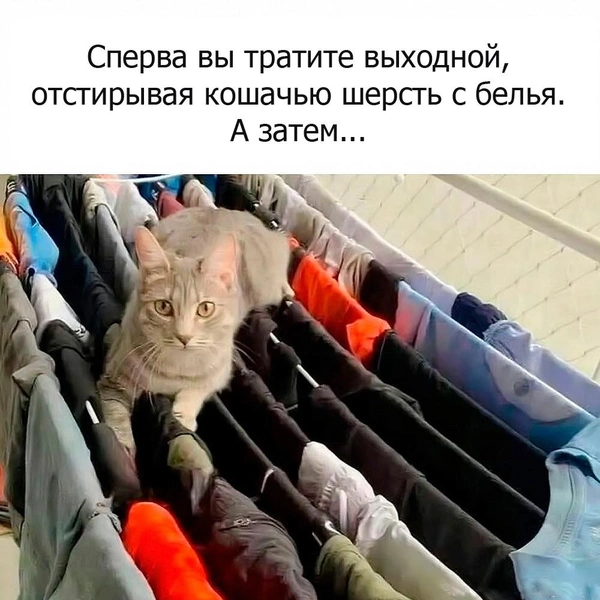 Источник: соцсети