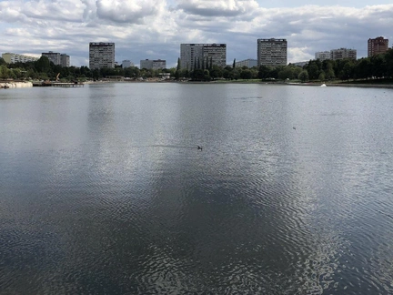 В Гольяновском пруду в Москве нашли пакет с головой 10-летнего школьника: подробности убийства