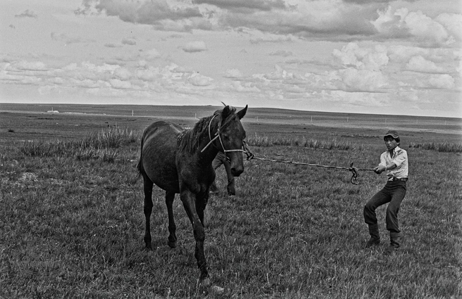 Источник: Евгений Епанчинцев