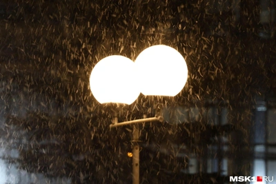Метель в Москве: водителям советуют пересаживаться на метро