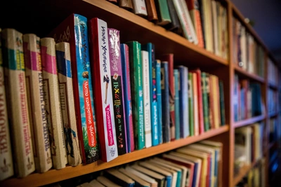 Энциклопедия Брокгауза и Ефрона в позолоте продается во Владивостоке