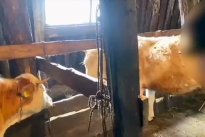 Суд над якутским предпринимателем и отцом за рабский труд