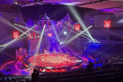 Circus animals happier than wild, say Vladivostok trainers