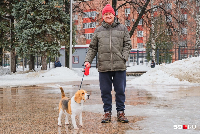 Владимир проводит свободное время на пенсии, гуляя со своим песиком  | Источник: Тимофей Калмаков / 59.RU