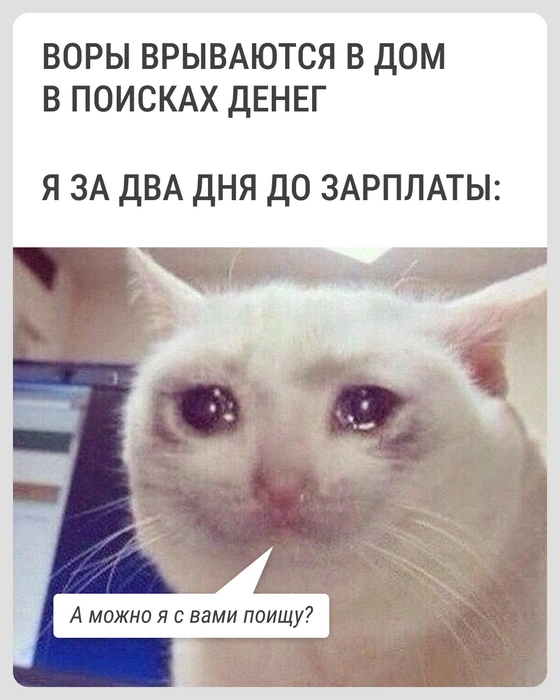 Пожалуйста | Источник: Городские медиа