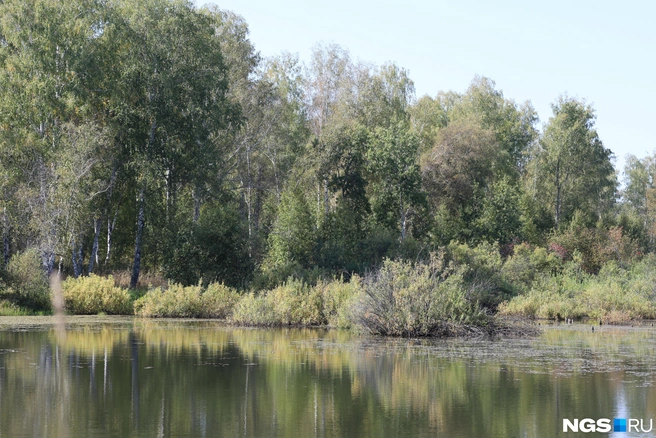 Летне-осенние краски красиво отражаются в воде | Источник: Мария Тищенко / NGS.RU