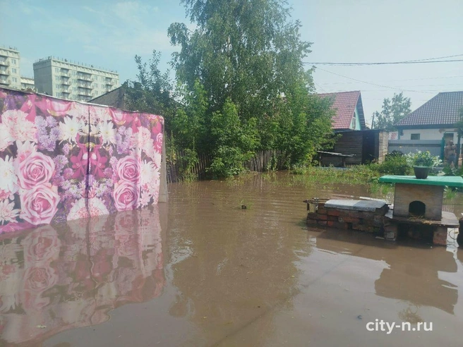 Источник: www.city-n.ru