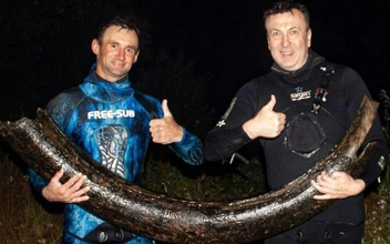 Там их пруд пруди: рыбаки нашли 1,8-метровый бивень мамонта в реке Молома в Кировской области