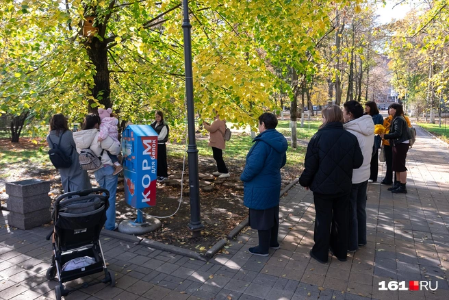 Орешки можно купить прямо в парке | Источник: Евгений Вдовин / 161.RU