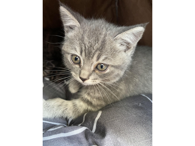 Изображение пользователя