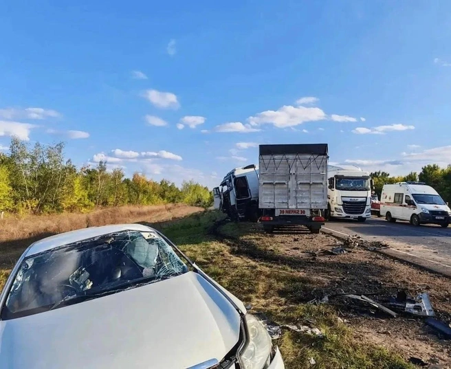Пассажир из BMW скончался по дороге в больницу | Источник: Полиция Воронежской области / T.me