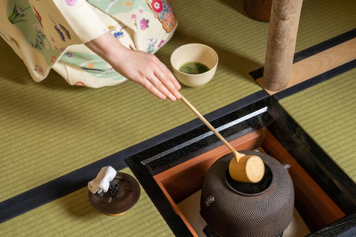 В холодильнике или на книжной полке: вы удивитесь, почему это лучшие места для хранения чая | Источник: предоставлено пресс-службой курорта Мрия