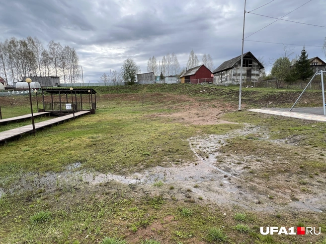 Здесь раньше были деревья | Источник: Андрей Бирюков / UFA1.RU