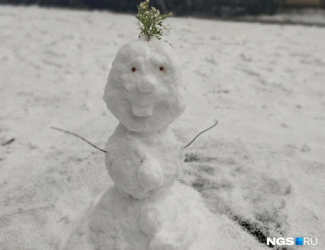 Вместо шляпы на голове снеговика цветы | Источник: читатель НГС