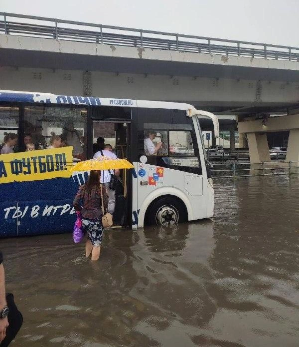 Автобусы плывут | Источник: «Сочи с огоньком» / Telegram