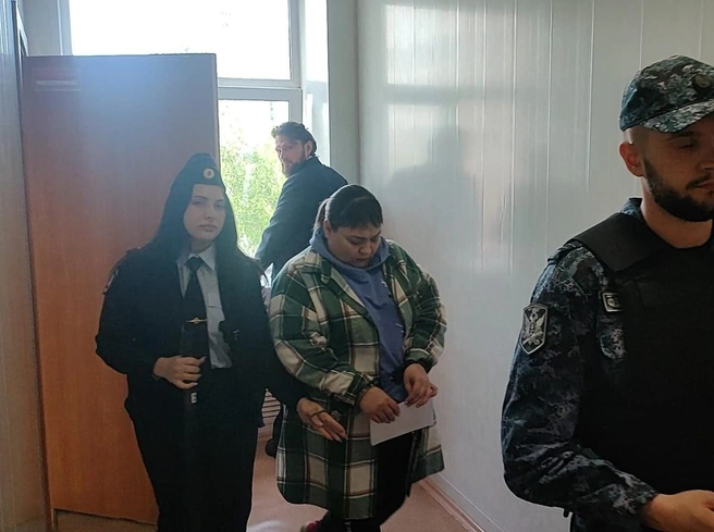 Анне Пасынковой предъявили обвинение по двум статьям | Источник: «Суды общей юрисдикции Новосибирской области» / «ВКонтакте»