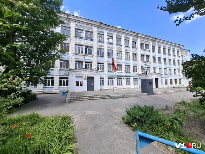 Буквально в сотне метров — здание гимназии № 12, ученики которой тоже очень хорошо знают Миру | Источник: Тимофей Крылов / V1.RU