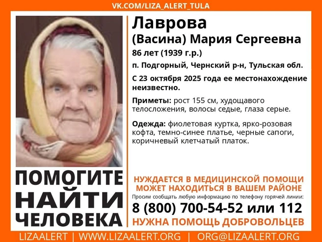 Ориентировка на пропавшую пенсионерку | Источник: Поисковый отряд «ЛизаАлерт» Тульской области / ВКонтакте