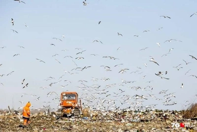 Природоохранная прокуратура предупредила о рисках концессии