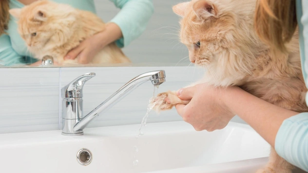 Как выбрать смеситель для ванной: на что обратить внимание при покупке