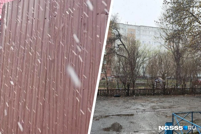 На днях синоптики обещали дождь, переходящий в снег | Источник: «Омск ВК» / vk.com, читатель NGS55.RU