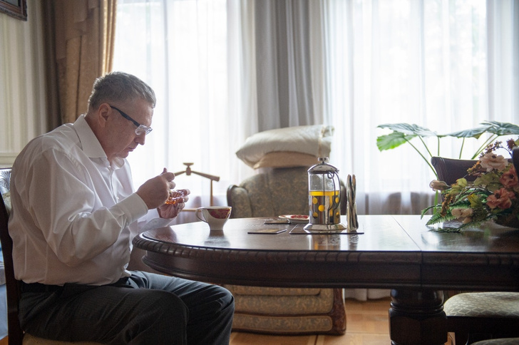 Как жил Владимир Жириновский: дом и дача политика