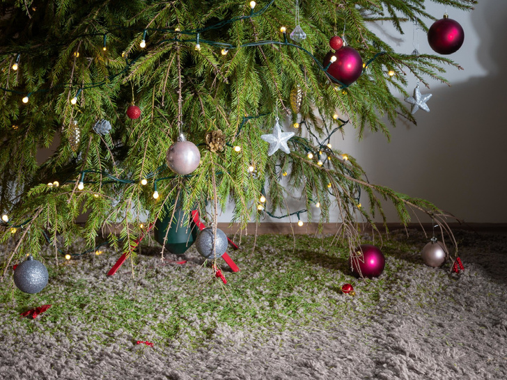 Когда нужно убирать новогоднюю елку, чтобы не навлечь беду — запомните эти даты