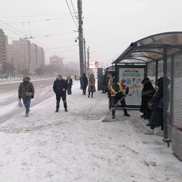 Источник: Комитет по благоустройству Петербурга