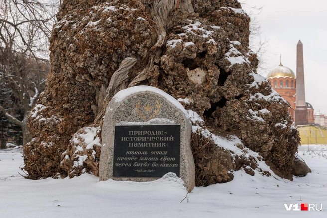 Памятная табличка — ненавязчивое напоминание о возрасте памятника | Источник: Алексей Волхонский / V1.RU