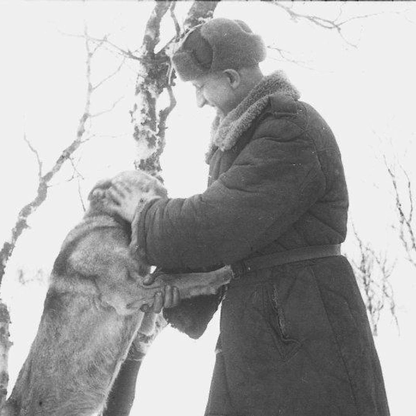 Собаковод со своим питомцем. Мурманское направление. Фото Иосифа Козьминского  | Источник: Мурманский областной краеведческий музей 