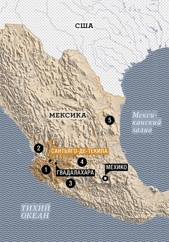 Грусть агавы: как текила стала национальным достоянием Мексики