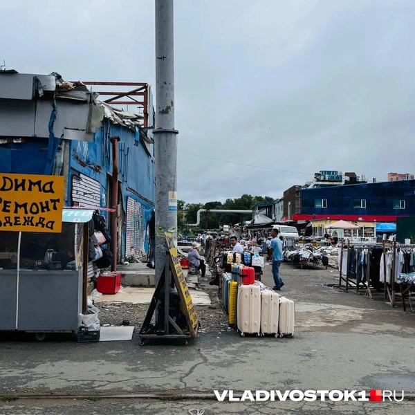 Источник: Елена Буйвол / VLADIVOSTOK1.RU
