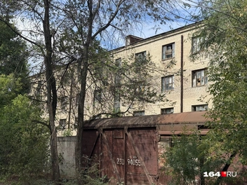 Круглые сутки тут слышен собачий лай | Источник: Сергей Петунин / 164.RU