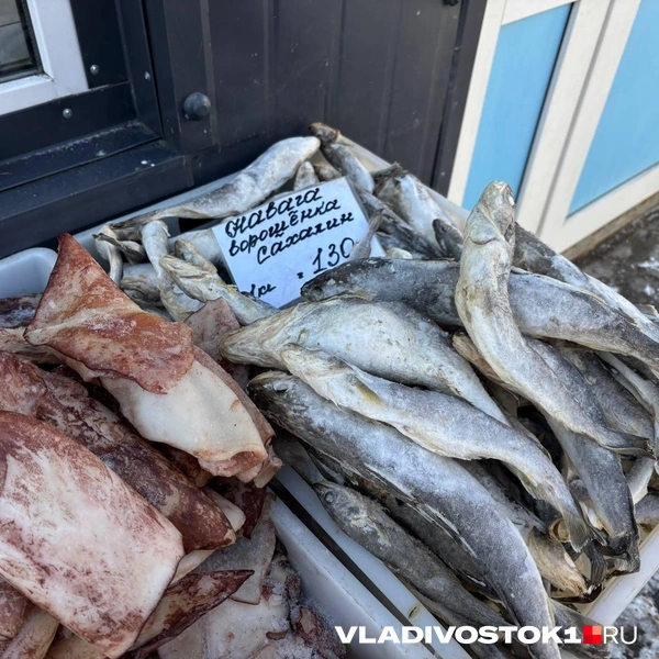 Источник: Елена Буйвол / VLADIVOSTOK1.RU