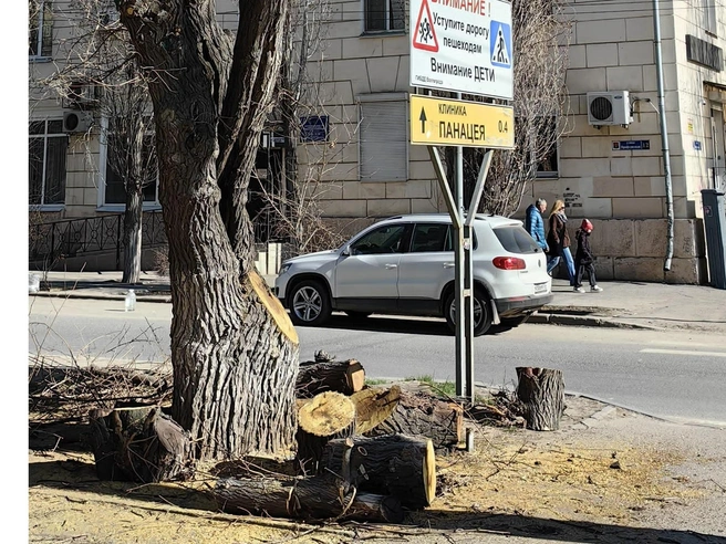 Тенистый бульвар на Профсоюзной стремительно прекращает свое существование | Источник: читатели V1.RU