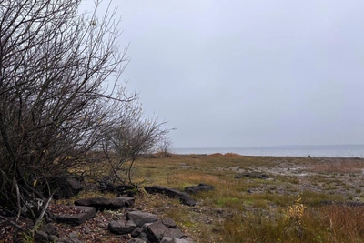 МЧС предупредило о подъеме воды в реках Ярославской области