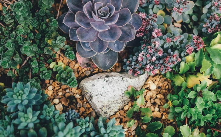 Источник: Unsplash