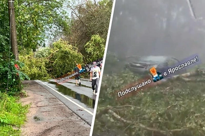 Трассу М-8 завалило деревьями: последствия грозы