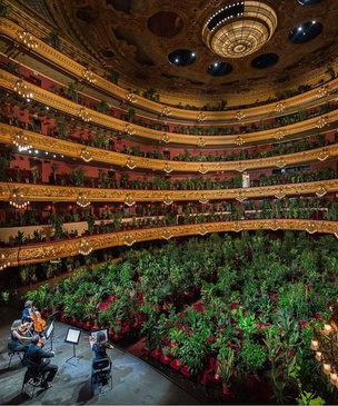 В Барселоне устроили концерт для растений
